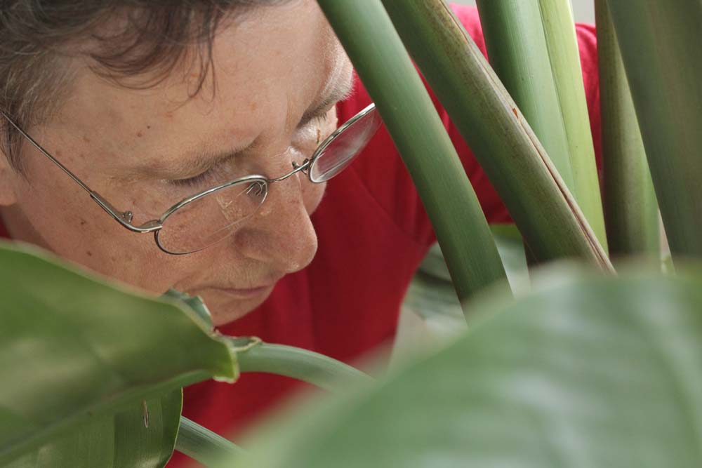 Iris Burmeister in ihrer Physiotherapiepraxis